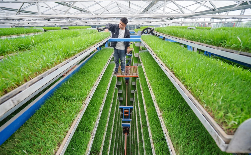 农业类-现代农业技术专业